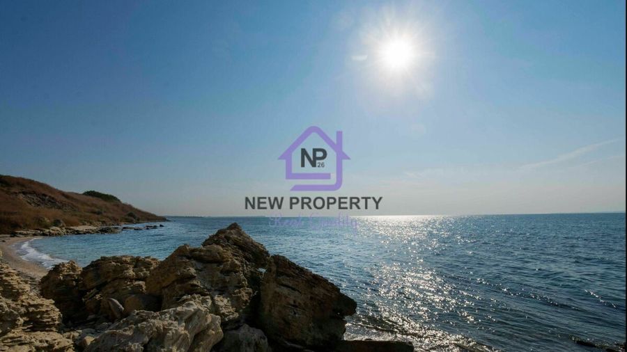 Снимка 337766631