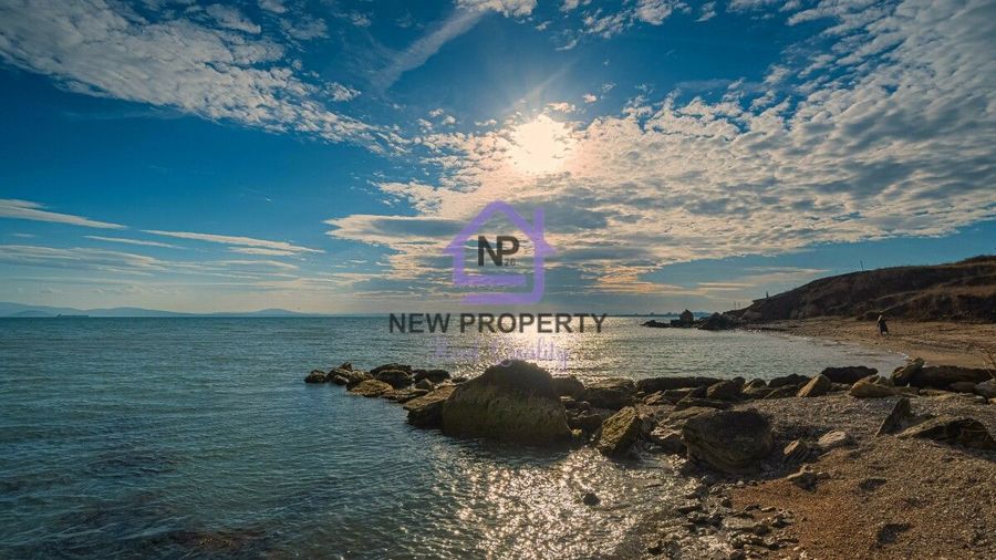 Снимка 337766637