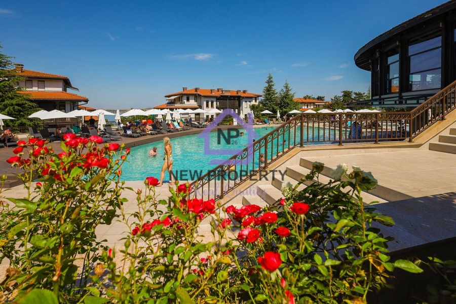 Снимка 337766787