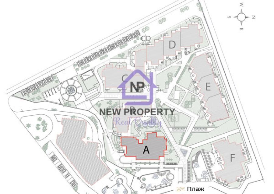 Снимка 337766946