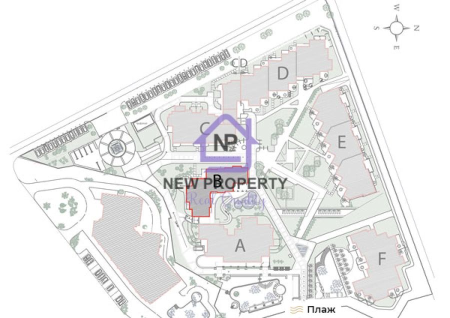 Снимка 337766949