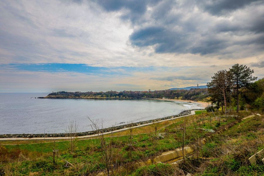 Снимка 337767501