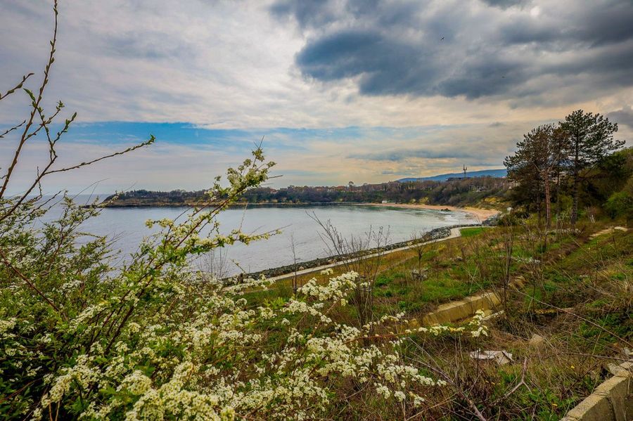 Снимка 337767534