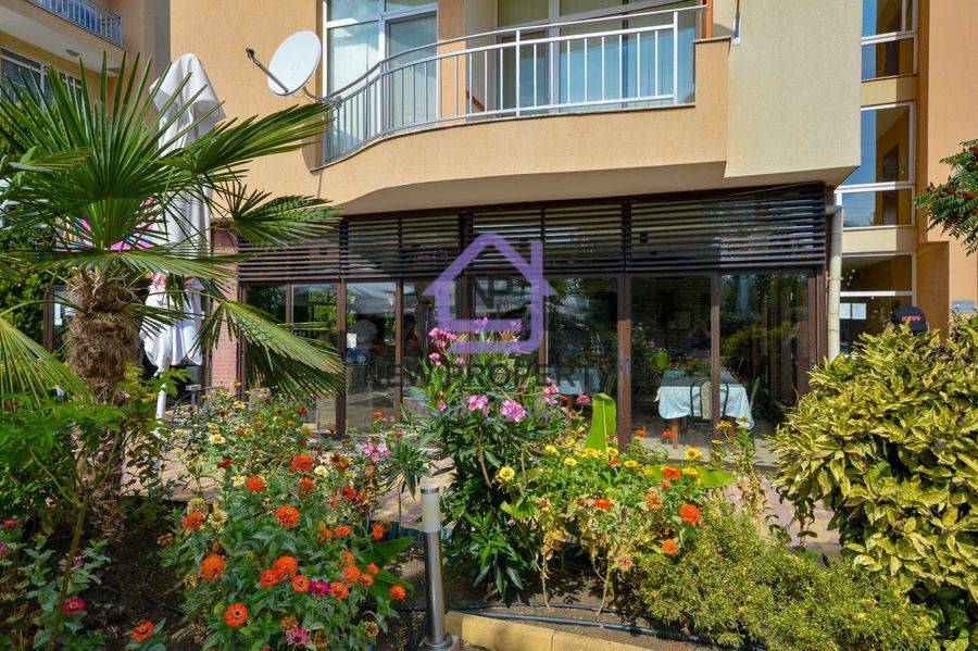 Снимка 337767546