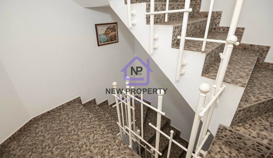 Снимка 337879371