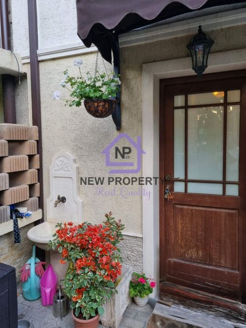 Снимка 338115153