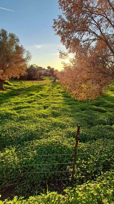 Photo 338281143