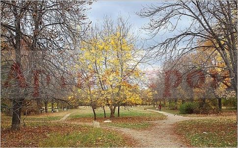 Снимка 338454645