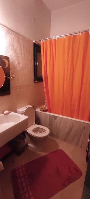 صورة فوتوغرافية 338774964