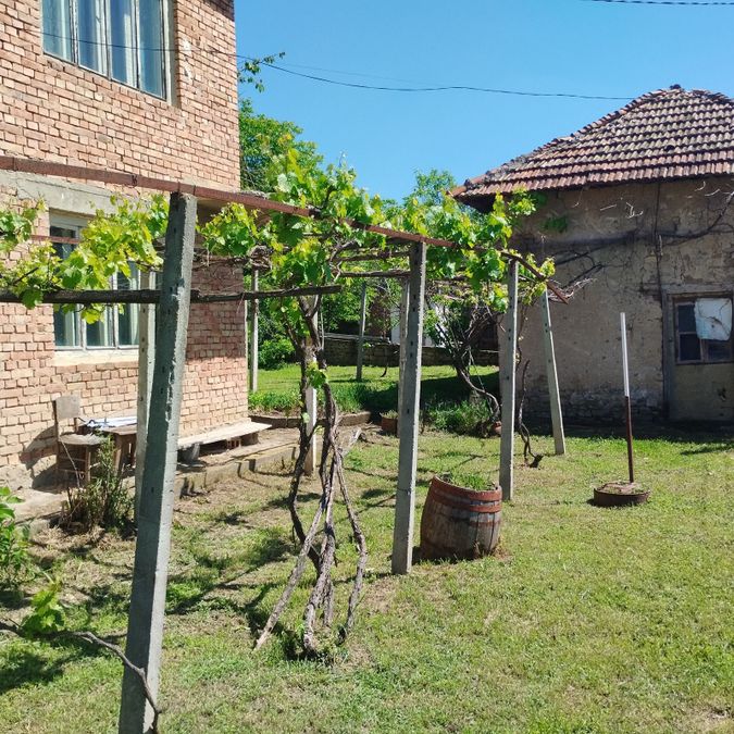 Снимка 339577914