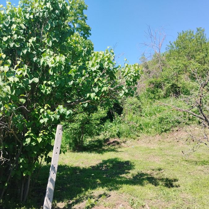 Снимка 339577917