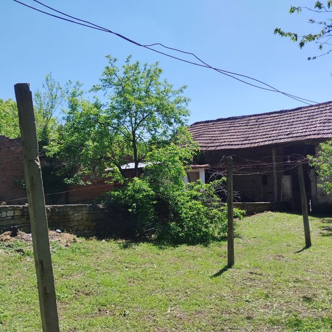 Снимка 339579141