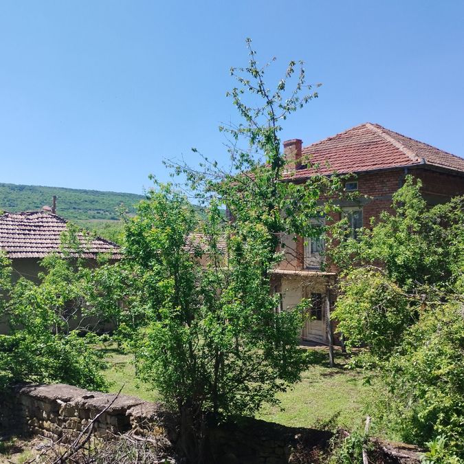 Снимка 339579183