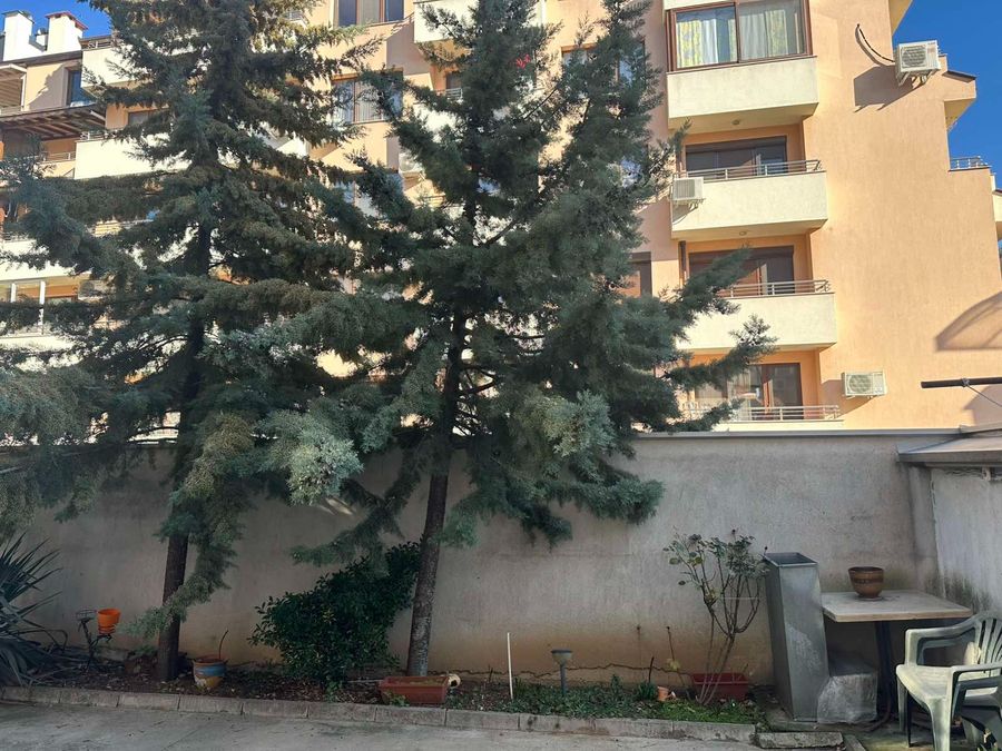 Снимка 340512084