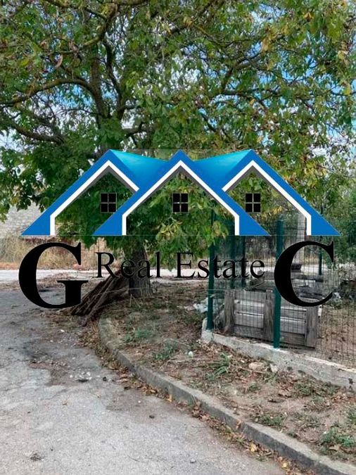 Снимка 342773238