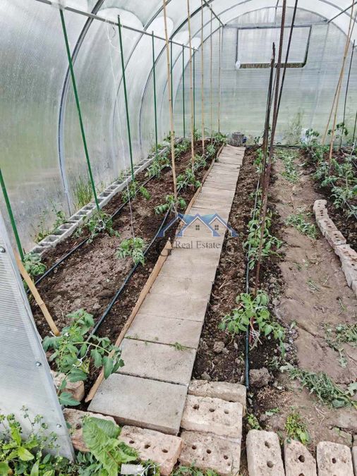 Снимка 342774285