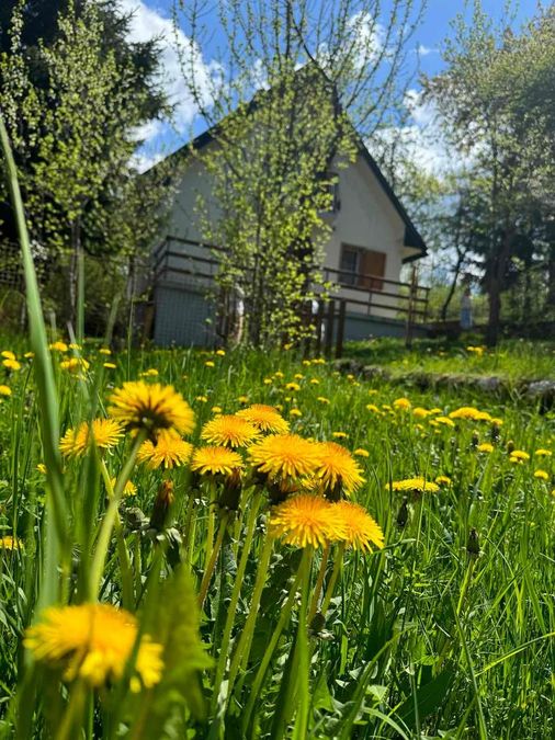 Detached House, Kolašin 4