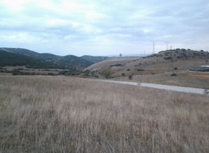 Land Plot, Center