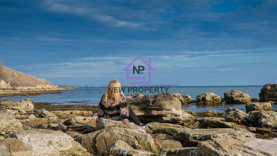 Снимка 343864827