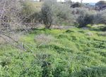 Photo 344650950