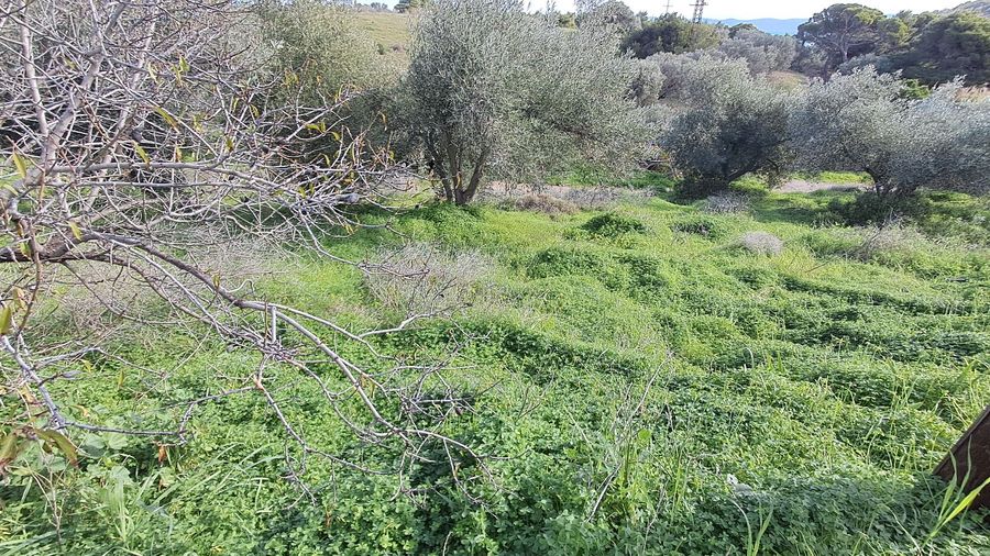 Photo 344650950