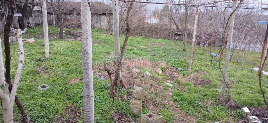 Снимка 344661774