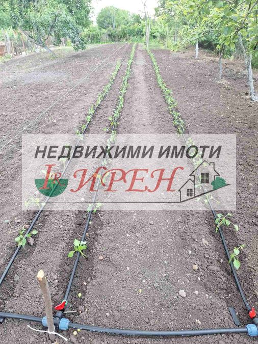 Снимка 344743818