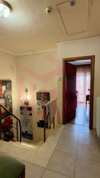 Zdjęcie 344866800