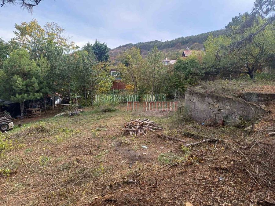 Снимка 345226635