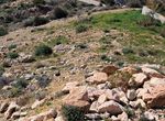Photo 346229202