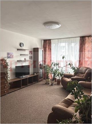 Снимка 347469939