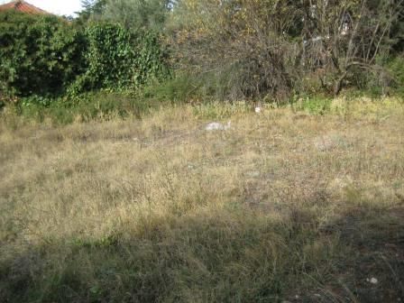 Photo 347609586