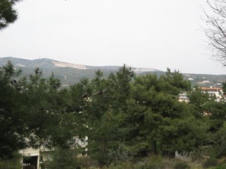 Photo 347609694