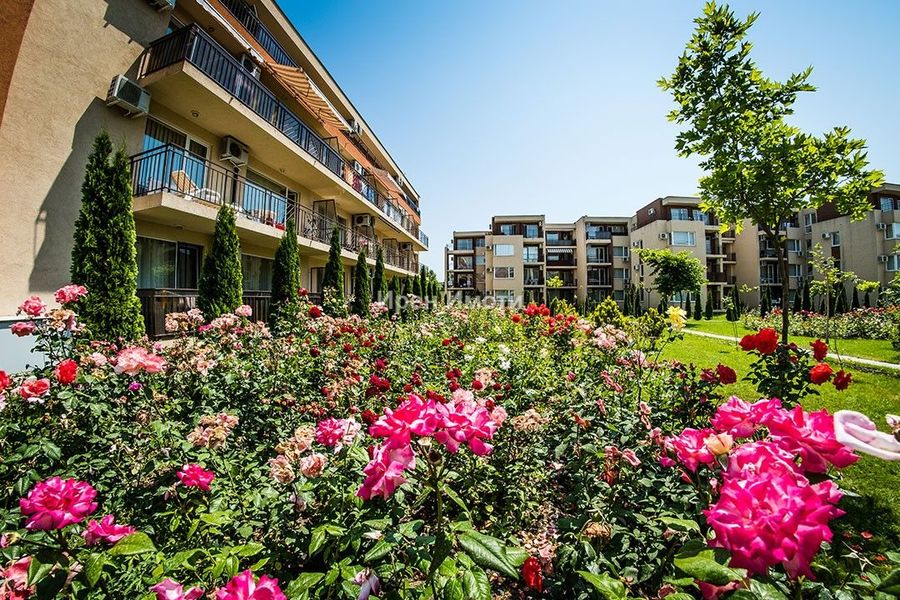 Снимка 347643525