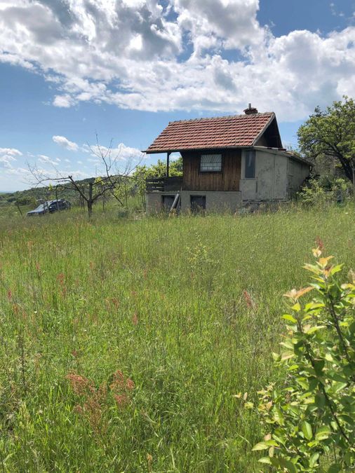 Снимка 347868393