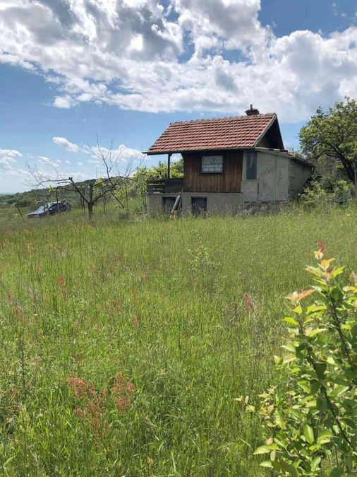 Снимка 347868402