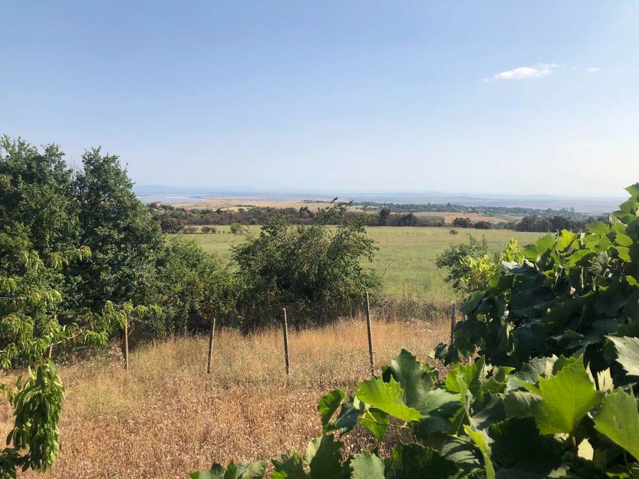 Снимка 347868405