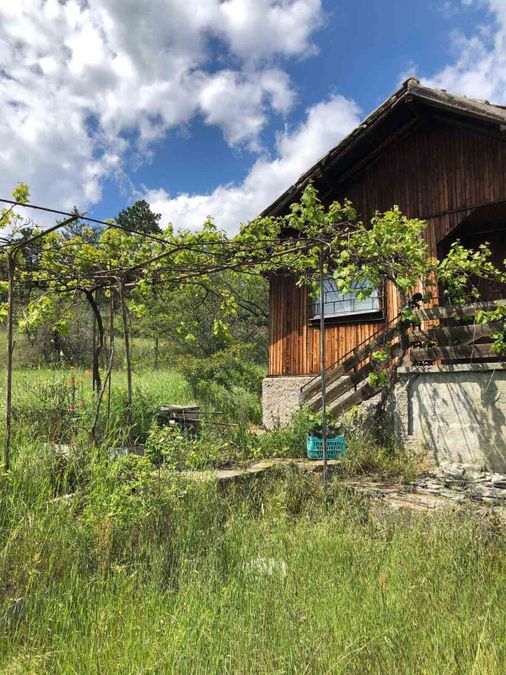 Снимка 347868414