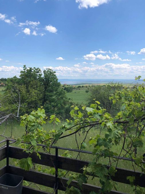 Снимка 347868423