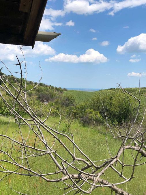 Снимка 347868435