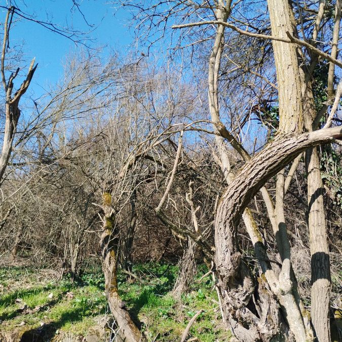 Снимка 347873526