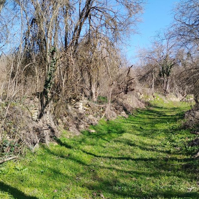 Снимка 347873538