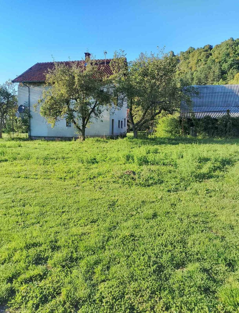 Kuća 200 m2 na prodaju Trnovo, Trnovo