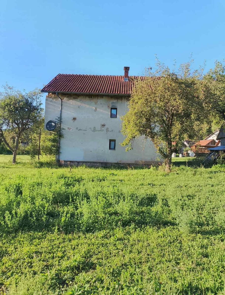 Kuća 200 m2 na prodaju Trnovo, Trnovo photo 3