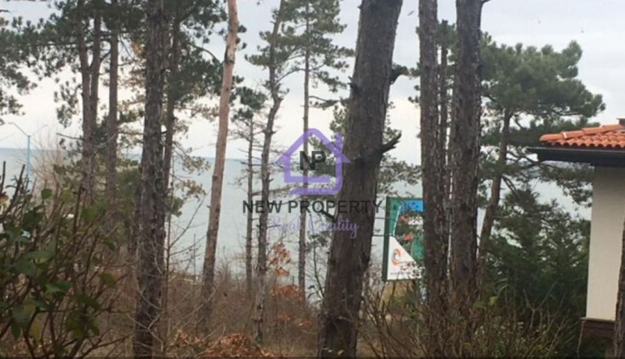 Снимка 348154722