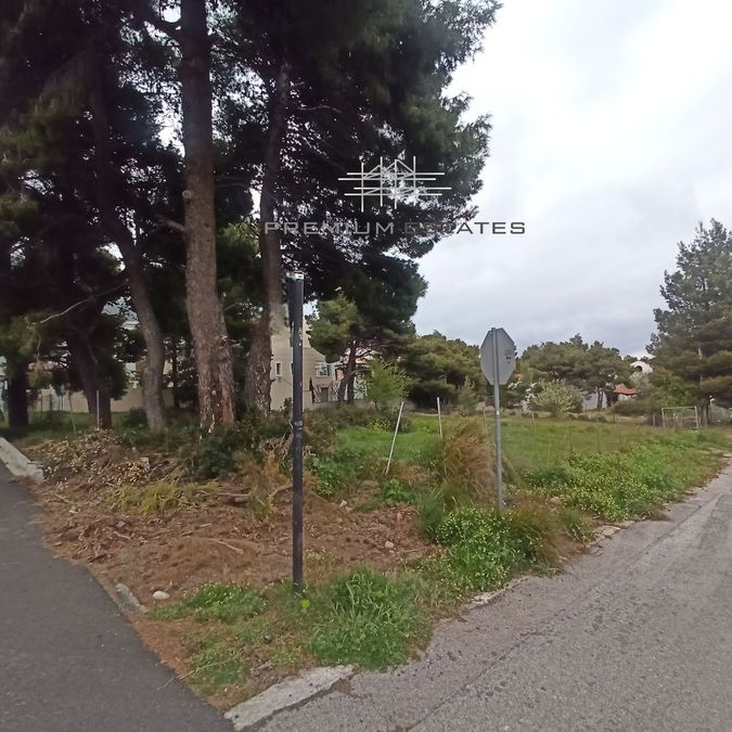 صورة فوتوغرافية 348495180