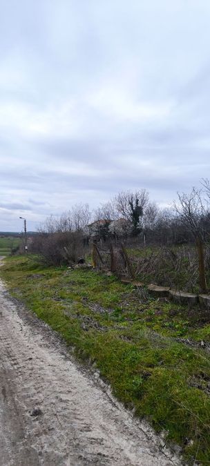 Снимка 348620856