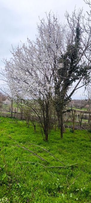 Снимка 348620862