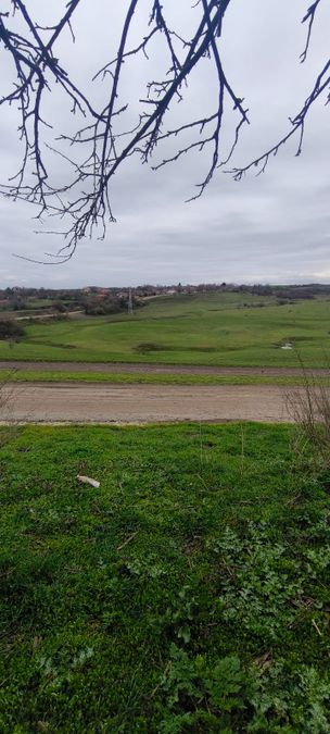 Снимка 348620874