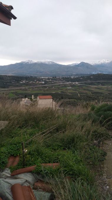 Photo 348984321